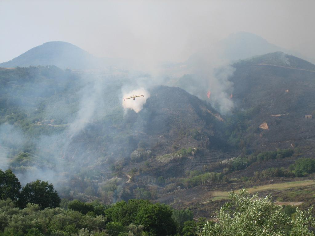 incendio aiello-lago 21 luglio.JPG